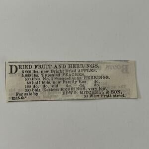 Dried Fruit & Herrings Edwd Mitchell 1862 Civil War Baltimore Clipping SAJ2-S24